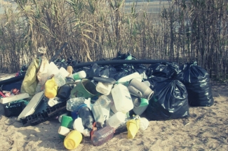 Urban Waste taken from the beach