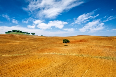 The Plains of Alentejo, Portugal